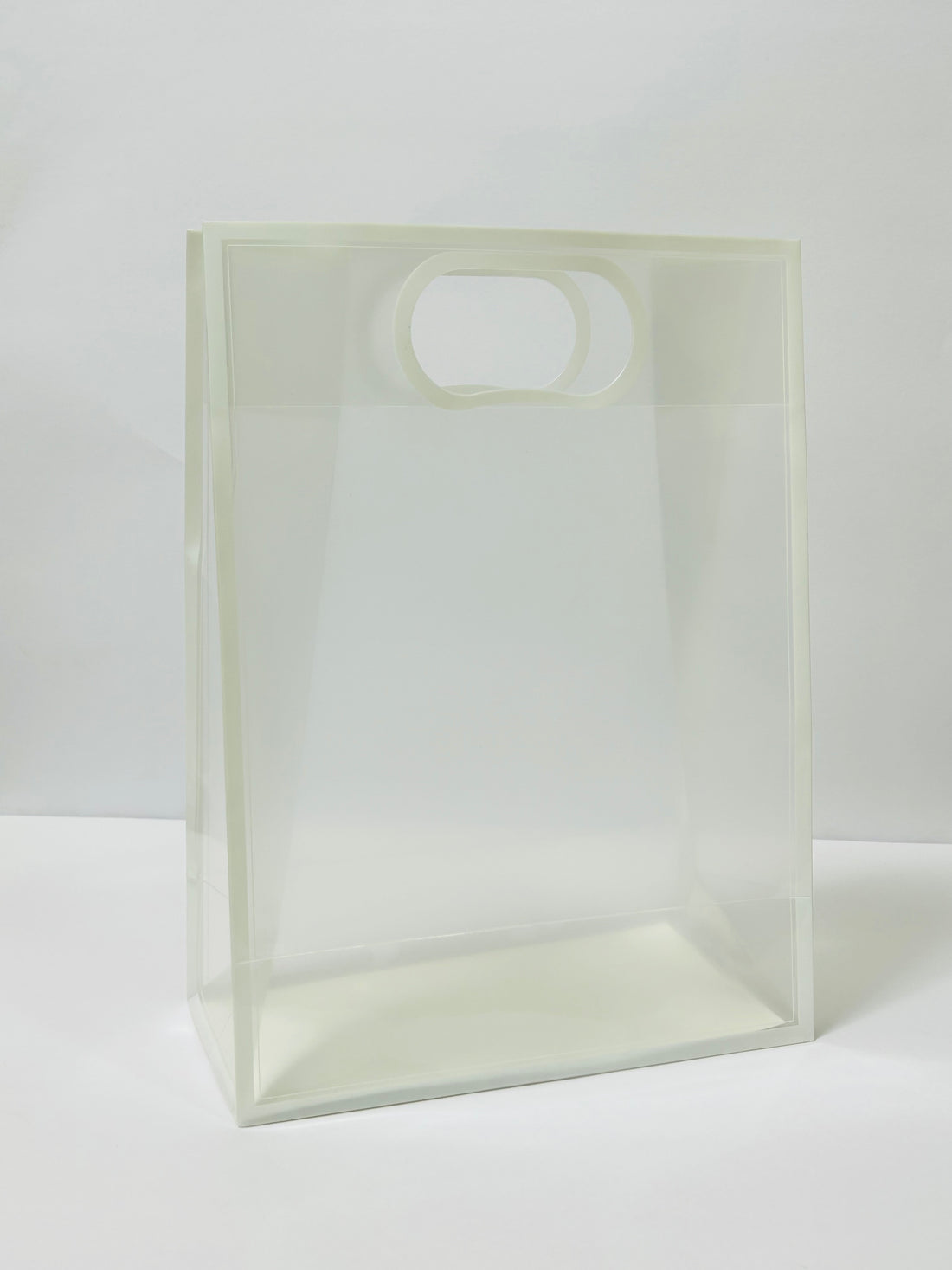 10 Pcs Premium PVC Gift Bag with D-Cut Handles