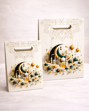 Premium Decorative Gift Bags (Small & Big Sizes)